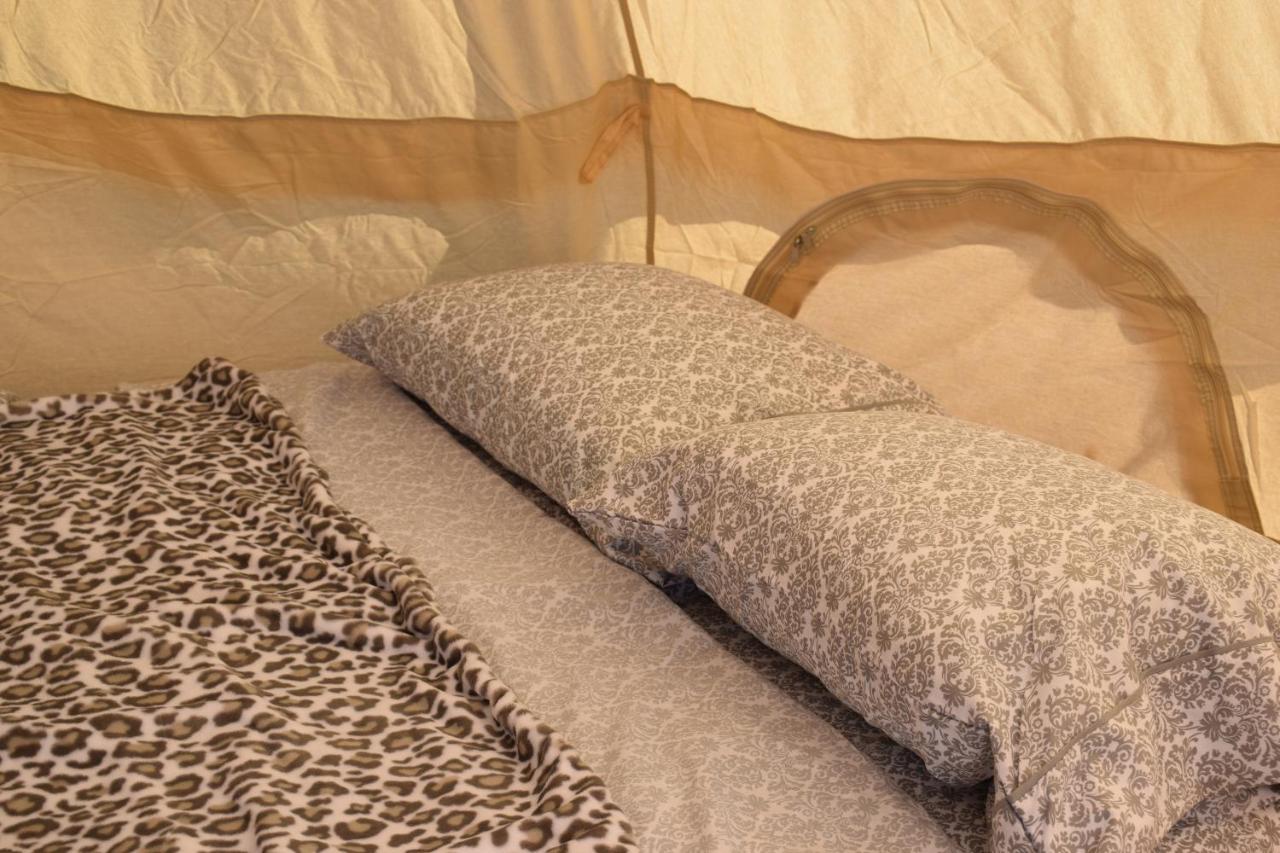 Starlight Tent 3 Holbrook Ngoại thất bức ảnh